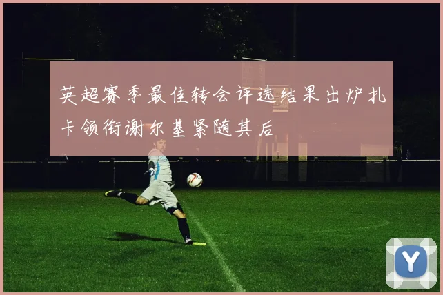 英超赛季最佳转会评选结果出炉扎卡领衔谢尔基紧随其后